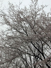 ʹ��������������á��عⲹ�����ķ������㾫����Ƭ