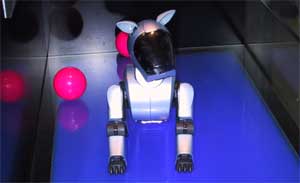 �ɰ���AIBO